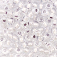 Perles de rocailles Miyuki 6/0 Pearlized effect silver 6-4613
