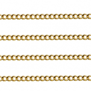 Appr&ecirc;ts en acier Inox cha&icirc;ne maille jaseron gourmette D&oacute;re