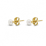Boucles d'oreilles / puces en acier Inox perles 5mm Dóre-blanc perle