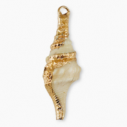 Pendentifs coquillage specials Buccin Beige-dor&eacute;