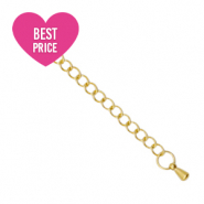 Appr&ecirc;ts en acier inox cha&icirc;nette d'extension goutte Dor&eacute;