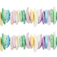 Perles coquillage chips Bleu-vert-violet