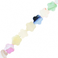 Perles coquillage fleur Multicolore pastel