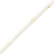 Perles coquillage tube Blanc-sable marron