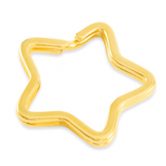 Appr&ecirc;ts en m&eacute;tal DQ porte-cl&eacute;s &eacute;toile Dor&eacute; (sans nickel)