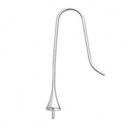 Appr&ecirc;ts en acier inox boucles d'oreilles crochet avec embout Argent&eacute;