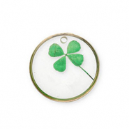 Pendentifs avec fleurs s&eacute;ch&eacute;es Dor&eacute;-vert