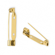 Appr&ecirc;ts en acier inox &eacute;pingle pour broche Dor&eacute;