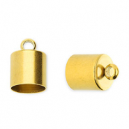 Appr&ecirc;ts en acier Inox embout &Oslash;6 mm avec anneau Dor&eacute;