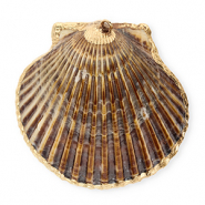 Pendentifs coquillage specials coquille Saint-Jacques Marron fonc&eacute;-dor&eacute;