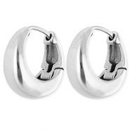 Boucles d'oreilles / cr&eacute;oles en acier Inox Argent&eacute;
