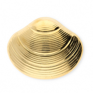Broches accroche-regard en acier inox coquille Doré