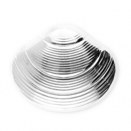 Broches accroche-regard en acier inox coquille Argenté