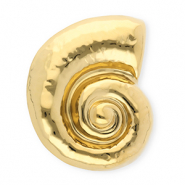 Broches accroche-regard en acier inox escargot Doré