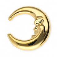 Broches accroche-regard en acier inox lune Doré