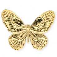 Broches accroche-regard en acier inox papillon Doré