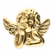 Broches accroche-regard en acier inox ange Doré