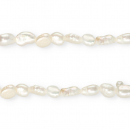 TQ Perles d&rsquo;eau douce nugget ovale 6x5 mm Blanc naturel