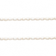 TQ Perles d'eau douce "grain de riz" 5x3 mm Natural white