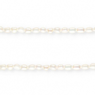 BQ Perles d'eau douce nugget rond 6-7mm Natural blanc