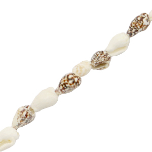 Perles coquillage buccin Marron m&eacute;lang&eacute;-blanc