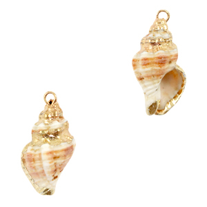 Pendentifs coquillage specials Buccin Marron clair cr&egrave;me-dor&eacute;