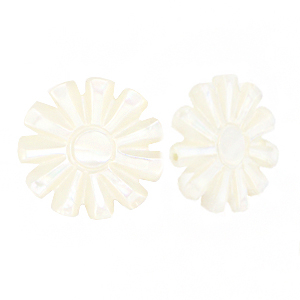 Perles coquillage soleil Blanc (couleur naturelle)