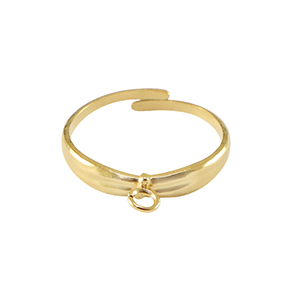 Bagues en acier Inox avec anneau Dor&eacute;