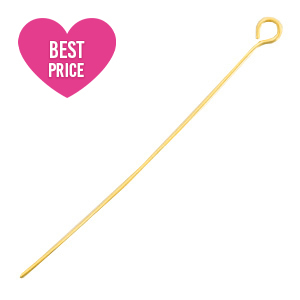 Appr&ecirc;ts en acier inox clou &agrave; t&ecirc;te ronde 50mm Dor&eacute;