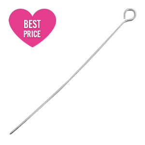 Appr&ecirc;ts en acier inox clou &agrave; t&ecirc;te ronde 50mm Argent&eacute;