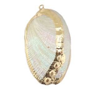 Pendentifs coquillage specials Moule Perle-dor&eacute;