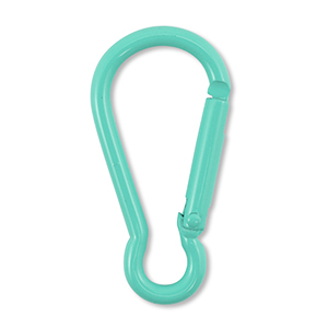 Appr&ecirc;ts color&eacute;s porte-cl&eacute;s Vert turquoise