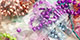 Nouvelles perles &agrave; facettes 